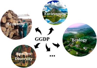 A better strategy: using green GDP to measure economic health